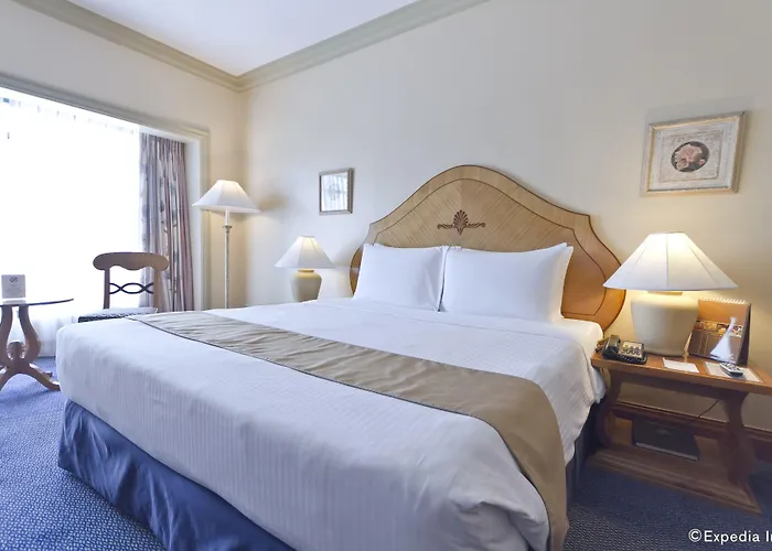 Hotel Waterfront & Casino 4*